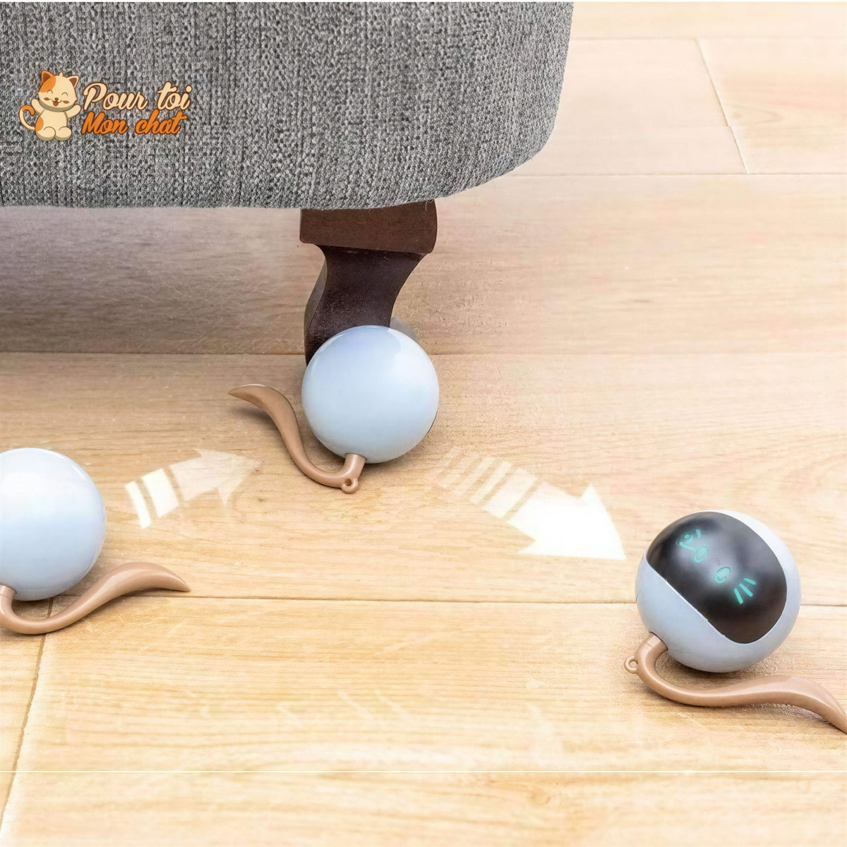 Balle Magique Lumineuse pour Chat - Catch'Cat™ Pour toi Mon chat