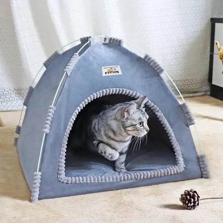 Cabane pour Chat en Forme de Toile de Tente Pour toi Mon chat posée sur de la moquette beige avec un chat gris à l'intérieur avec une pomme de pin devant et des rideaux blanc derrière