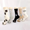 Cadeau Fan De Chat Chaussettes Chat Pour toi Mon chat