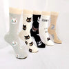 Cadeau Fan De Chat Chaussettes Chat Pour toi Mon chat