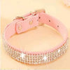 Collier de laisse en strass et faux cuir pour chat Pour toi Mon chat