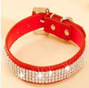Collier de laisse en strass et faux cuir pour chat Pour toi Mon chat