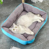 Coussin Chat, Maison, Niche, Confortable Repos Douillet Garanti Pour toi Mon chat bleu sur sol carrelage gris et rideaux blancs