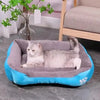 Coussin Chat, Maison, Niche, Confortable Repos Douillet Garanti Pour toi Mon chat bleu et canapé beige sur sol carrelage gris et rideaux blancs