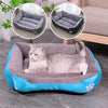Coussin Chat, Maison, Niche, Confortable Repos Douillet Garanti Pour toi Mon chat bleu sur sol carrelage gris et canapé beige et 2 fenêtre avec gris et noir