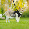 Harnais Chaton Respirant et Réfléchissant avec Laisse en Nylon Pour toi Mon chat