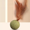 Herbe à Chat Ronde avec une Plume