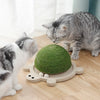 Jouet à gratter durable en forme de tortue en sisal pour chat Pour toi Mon chat