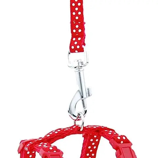 Laisse pour Chaton Réglable avec Point en Nylon Pour toi Mon chat