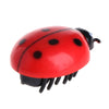 Mini jouet électrique interactif en forme de coccinelle Pour toi Mon chat