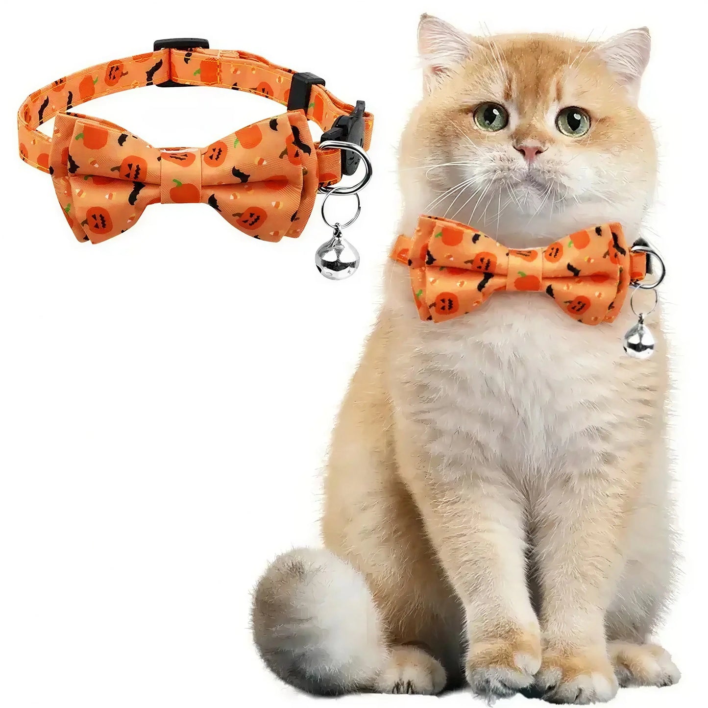 Noeud Papillon Halloween pour Chat Pour toi Mon chat