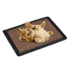 Planche à gratter en sisal pour chat Pour toi Mon chat