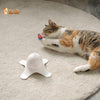 Jouet Papillon Volant pour Chat - Attrap'Papillon™ - Pour toi Mon chat