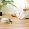 Jouet incroyable pour chat - Attrap'bird™ - Pour toi Mon chat