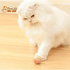 BALLE ROULANTE INTELLIGENTE POUR CHAT – Vite’Balle’Chat™ - Pour toi Mon chat