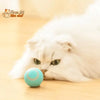 BALLE ROULANTE INTELLIGENTE POUR CHAT – Vite’Balle’Chat™ - Pour toi Mon chat