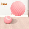 BALLE ROULANTE INTELLIGENTE POUR CHAT – Vite’Balle’Chat™ - Pour toi Mon chat