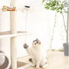 Balle Interactive pour chat - Attrap'Ball™ - Pour toi Mon chat