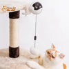 Balle Interactive pour chat - Attrap'Ball™ - Pour toi Mon chat