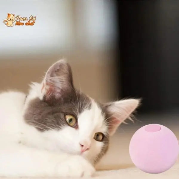 Balle avec des sons d'animaux - Music'Balls™ - Pour toi Mon chat