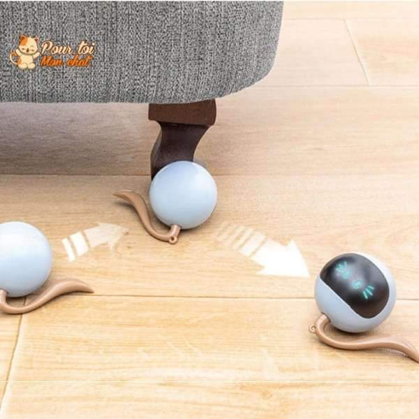 Balle Magique Lumineuse pour Chat - Catch'Cat™ - Pour toi Mon chat