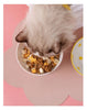 Bol en céramique surélevé pour chat Pour toi Mon chat