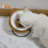 Bols d’alimentation et de boisson en céramique pour chats - MonChatBol™ - Pour toi Mon chat