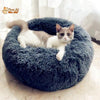 Coussin Douillet pour Chat - CoussinooRelax™ - Pour toi Mon chat