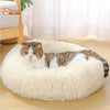 Coussin Douillet pour Chat - CoussinooRelax™ - Pour toi Mon chat