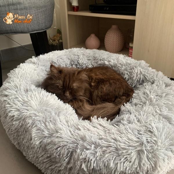 Coussin Douillet pour Chat - CoussinooRelax™ - Pour toi Mon chat