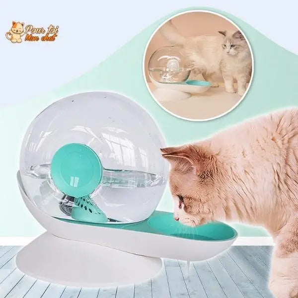 Fontaine à Eau Chat Sans Electricité - Escarg'eau™ - Pour toi Mon chat