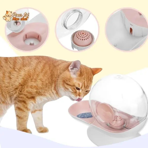Fontaine à Eau Chat Sans Electricité - Escarg'eau™ - Pour toi Mon chat