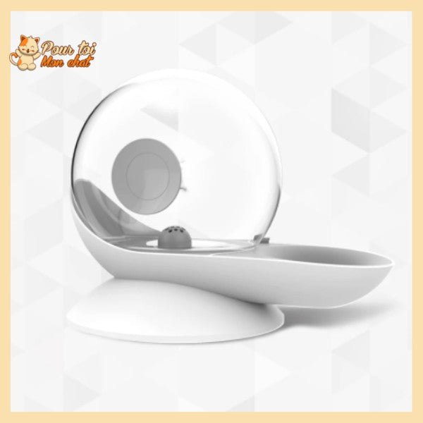 Fontaine à Eau Chat Sans Electricité - Escarg'eau™ - Pour toi Mon chat