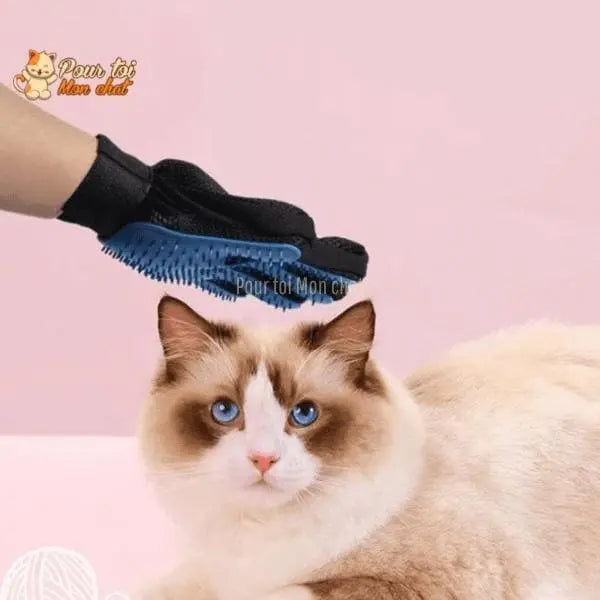 Gant de toilettage et de massage pour chat - Clean'Cat™ - Pour toi Mon chat