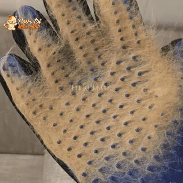 Gant de toilettage et de massage pour chat - Clean'Cat™ - Pour toi Mon chat