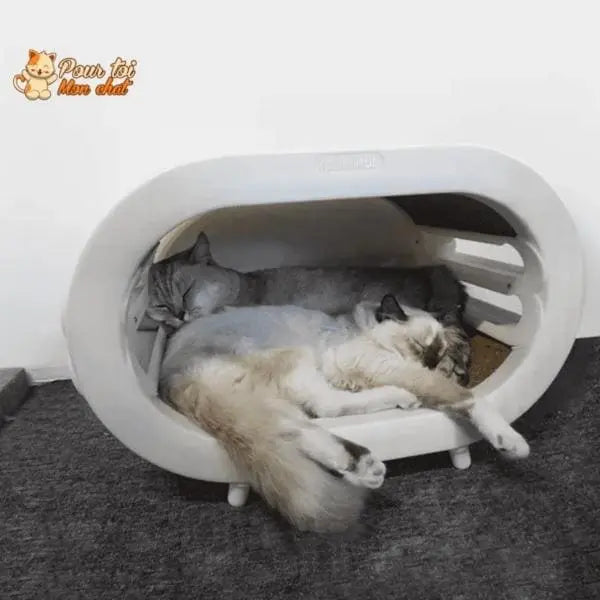 Griffoir ludique, design et spacieux pour chats - Pour toi Mon chat