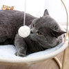 Panier Suspendu avec un Jouet - Hamac4cat™ - Pour toi Mon chat