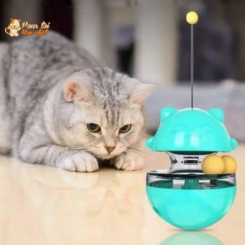 Jouet Distributeur de Friandises pour Chat - Chat’Culbuto™ - Pour toi Mon chat