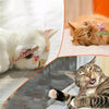 Jouet à mâcher saveur menthe pour chaton Pour toi Mon chat