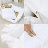 LIT COUSSIN DE PRINCESSE MIGNON EN DENTELLES POUR CHAT – Chat’dentelles™ - Pour toi Mon chat
