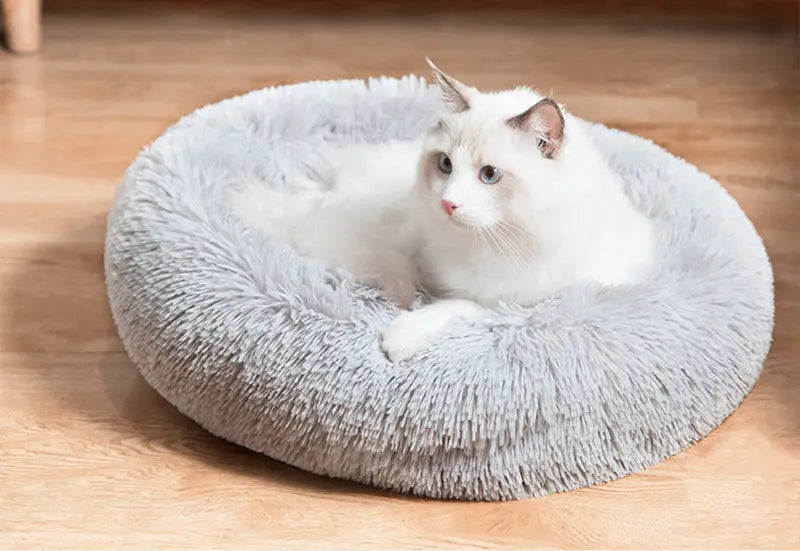 Lit à long poil apaisant en forme de donut pour chat Pour toi Mon chat