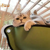 Lit suspendu à ventouses pour chat - Hamac-Fenêtre-Chat™ - Pour toi Mon chat