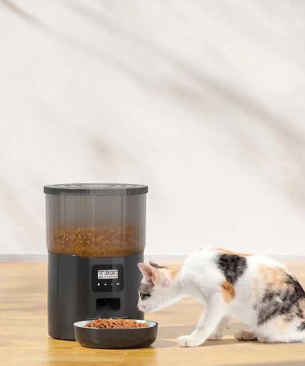 Nouveau distributeur de nourriture intelligent pour chats Pour toi Mon chat