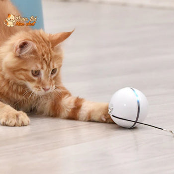 Balle Interactive pour Chat - RollChat™ - Pour toi Mon chat