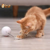 Balle Interactive pour Chat - RollChat™ - Pour toi Mon chat