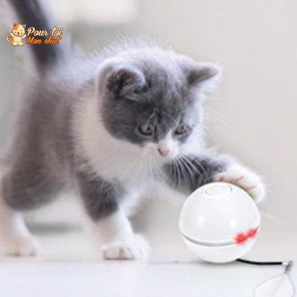 Balle Interactive Pour Chat - 3 Modes De Jeu - Rechargeable USB - Jouet Automatique Pour Chat D'Intérieur