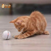 Balle Interactive pour Chat - RollChat™ - Pour toi Mon chat