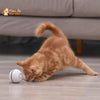 Balle Interactive pour Chat - RollChat™ - Pour toi Mon chat