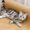 Tapis grattoir pour chats couvre meubles - Pour toi Mon chat