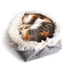 Tapis lit pour chat en velours Pour toi Mon chat